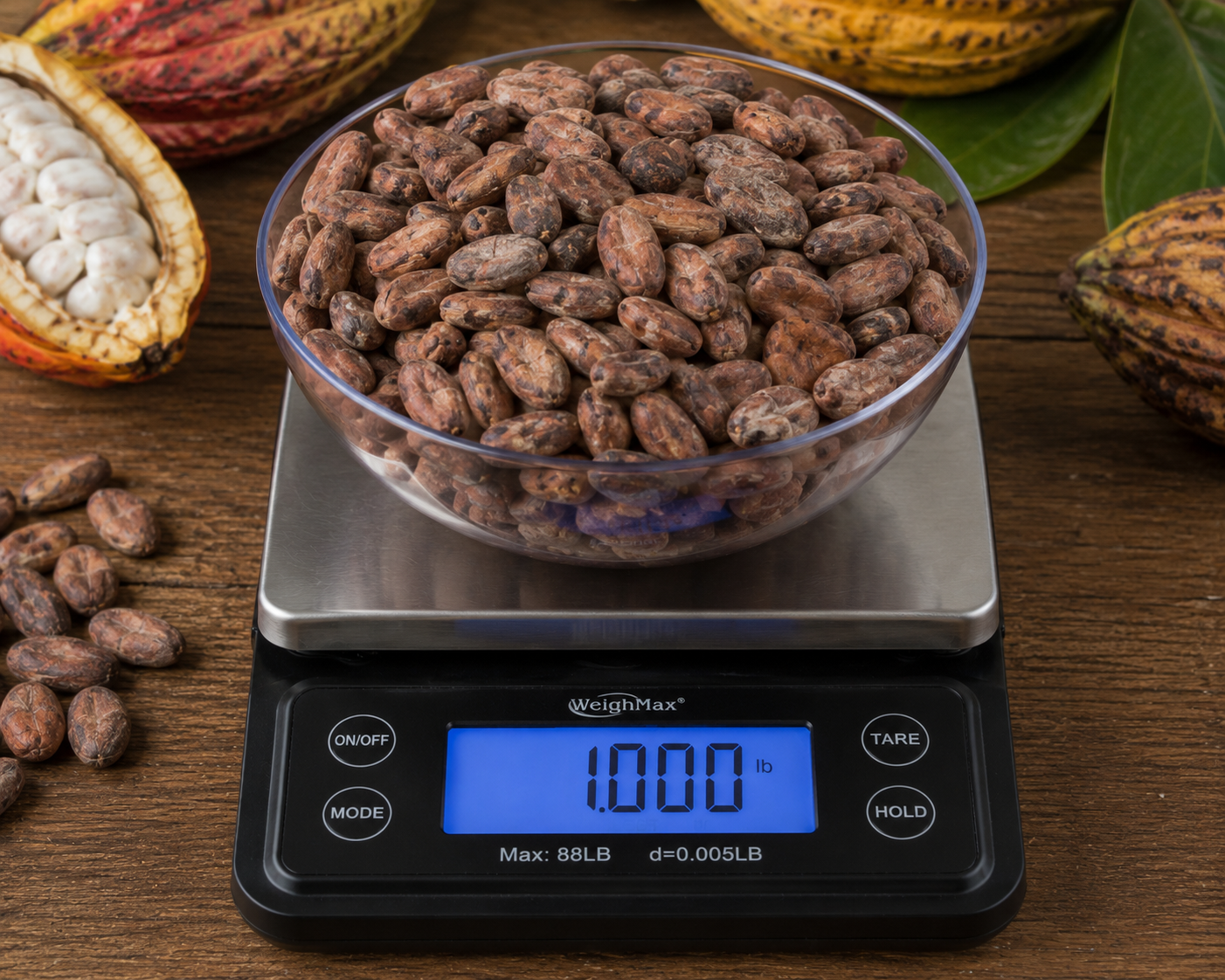 PREMIUM NATURAL COCOA BEANS