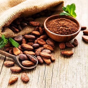 PREMIUM NATURAL COCOA BEANS